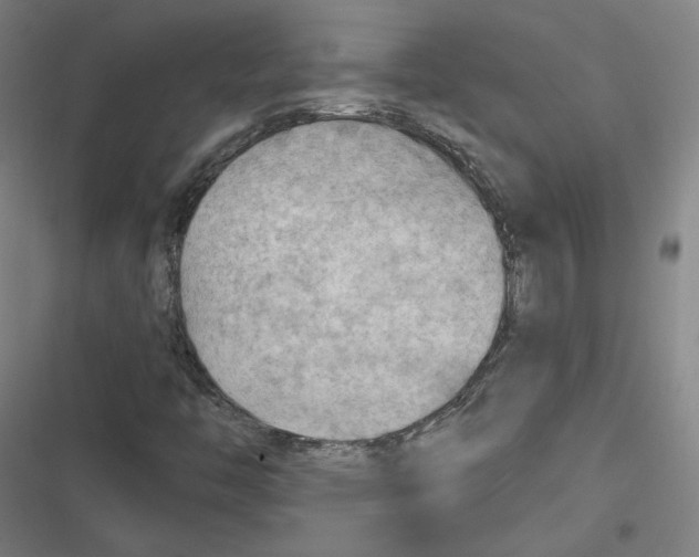 X0000116641446201001111158