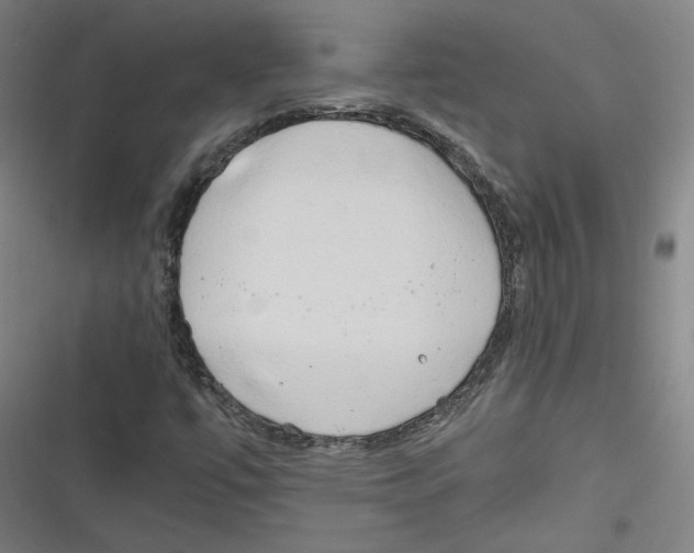 X0000116641447201001111158