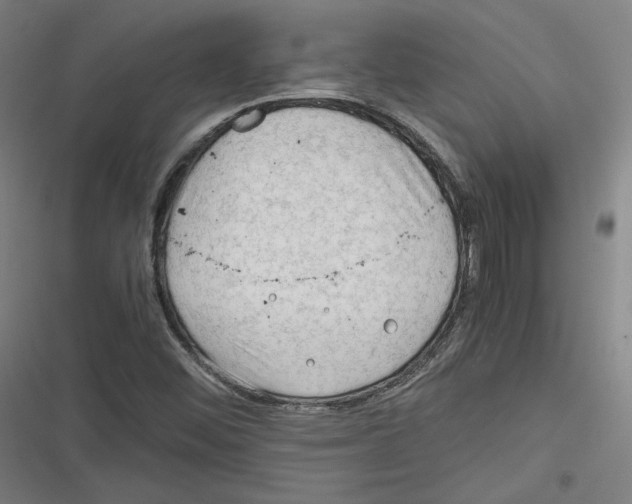 X0000116641452201001111158