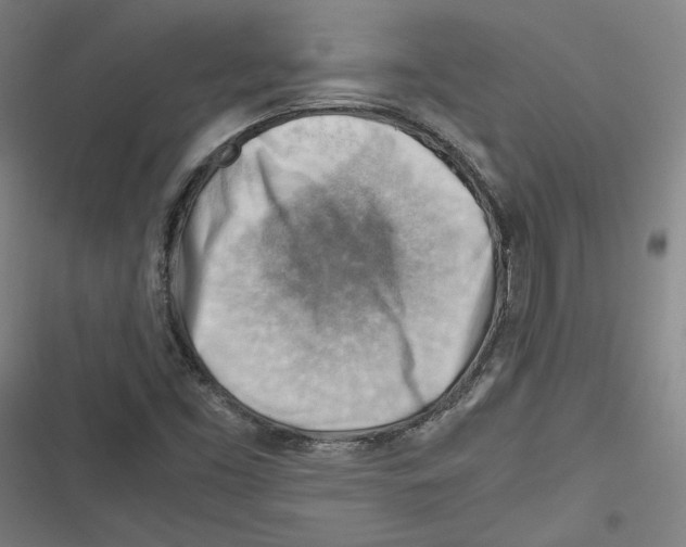 X0000116641453201001111158