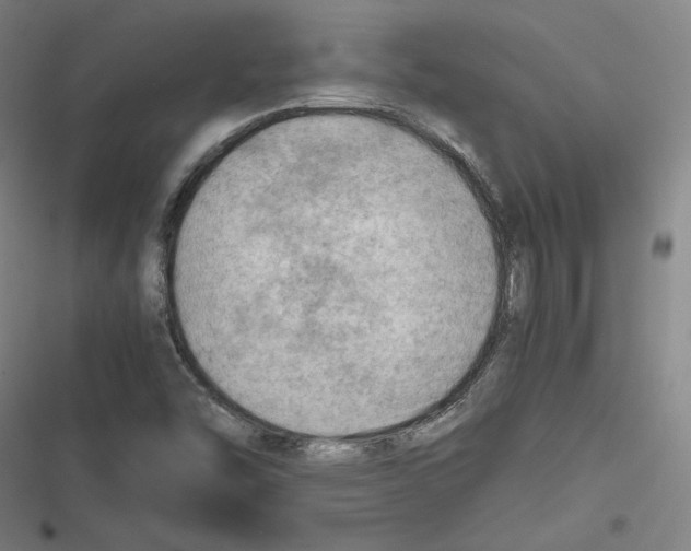 X0000116641454201001111158