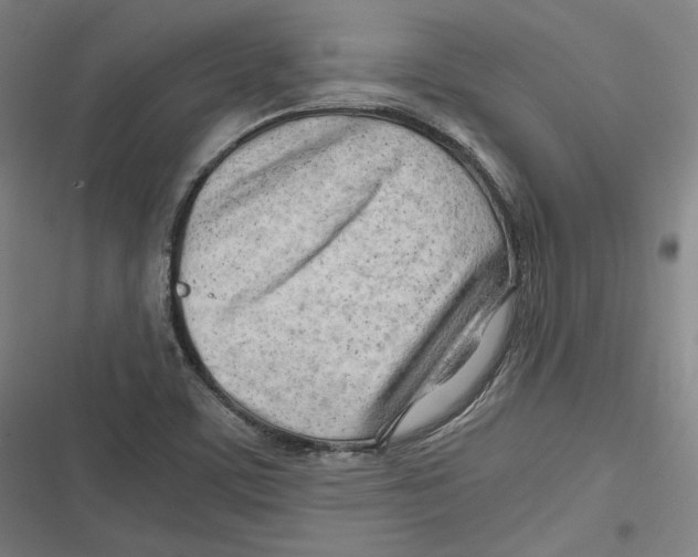 X0000116641459201001111158