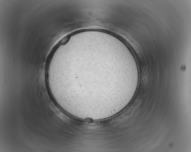 X0000116641460201001111158