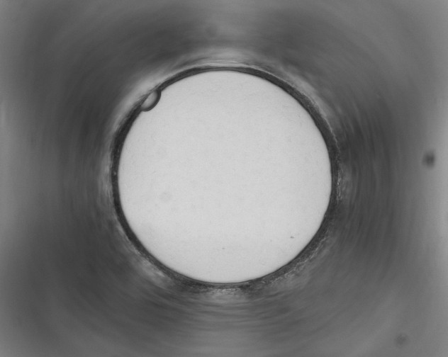 X0000116641464201001111158