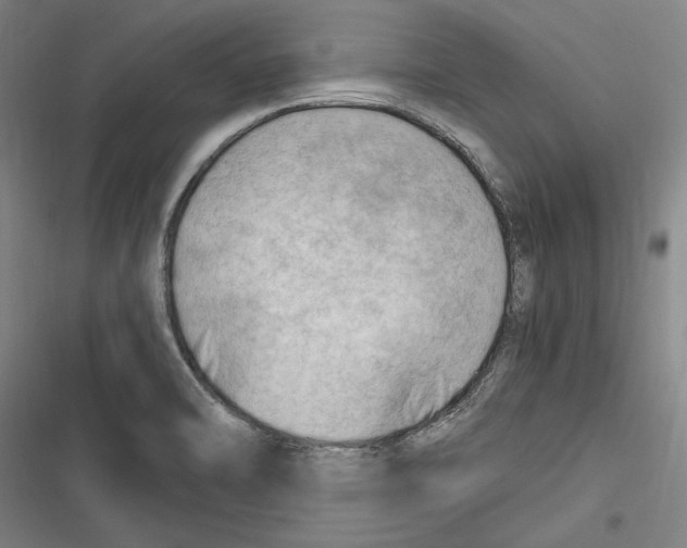 X0000116641470201001111158