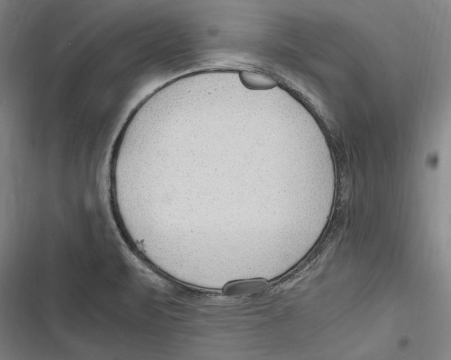 X0000116641471201001111158