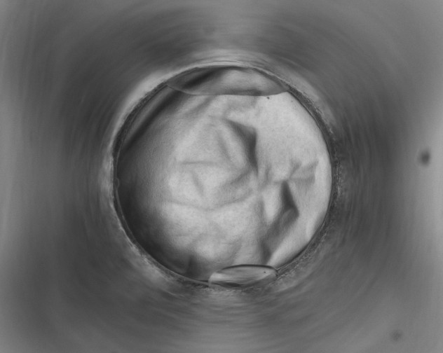 X0000116641472201001111158