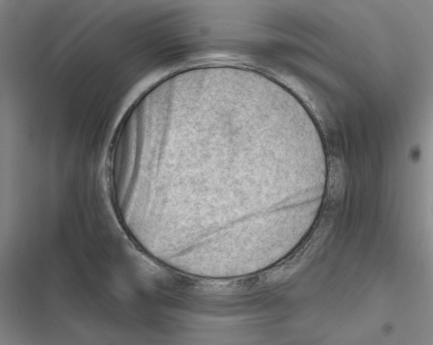 X0000116641474201001111158