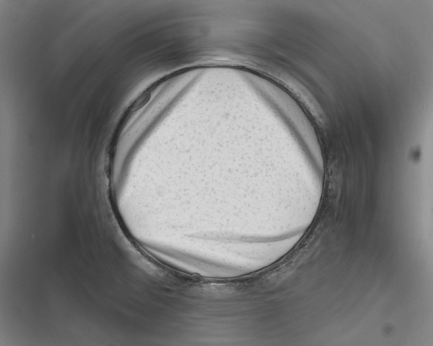 X0000116641476201001111158