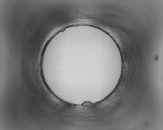 X0000116641477201001111158