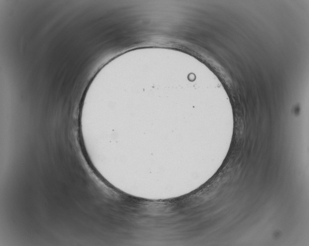 X0000116641479201001111158