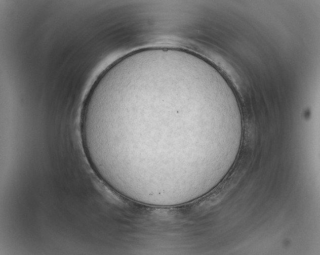 X0000116641480201001111158