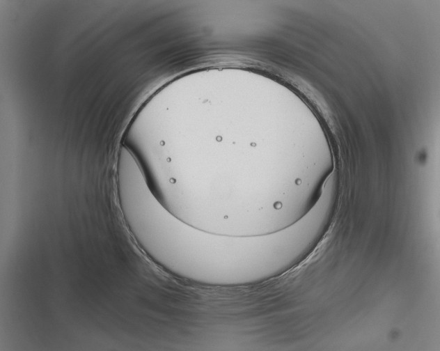 X0000116641481201001111158