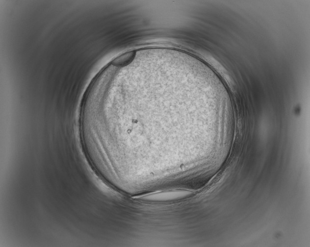 X0000116641482201001111158