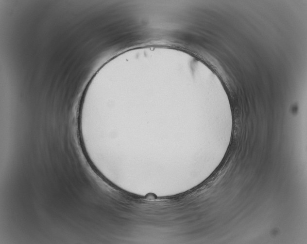 X0000116641483201001111158