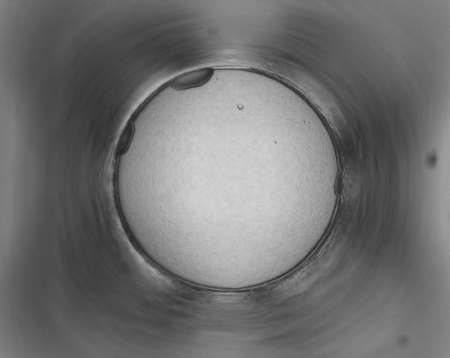 X0000116641484201001111158