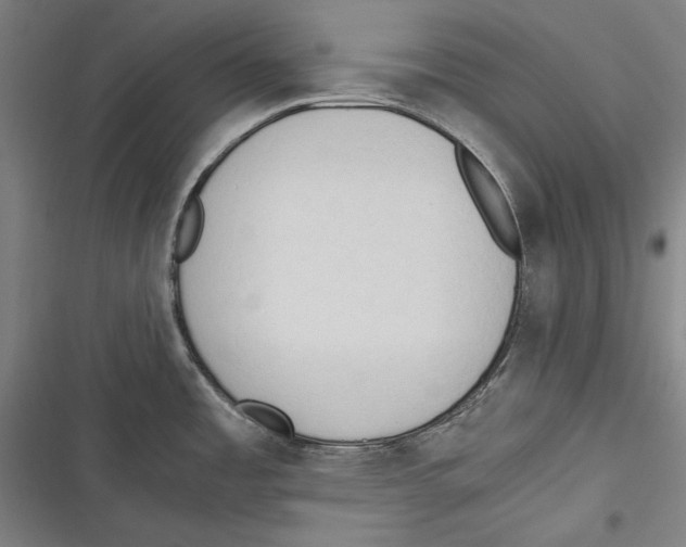 X0000116641485201001111158