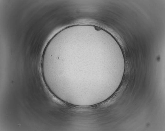 X0000116641486201001111158