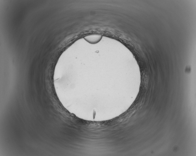 X0000116641489201001111157