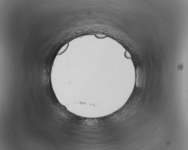 X0000116641491201001111157