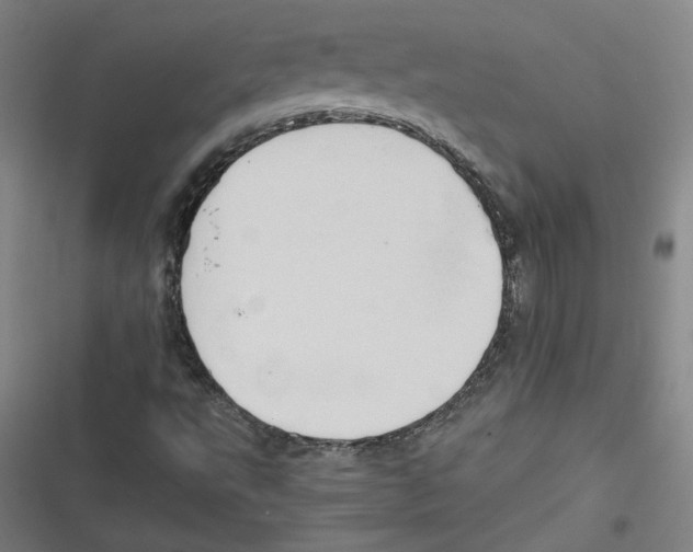 X0000116641495201001111157