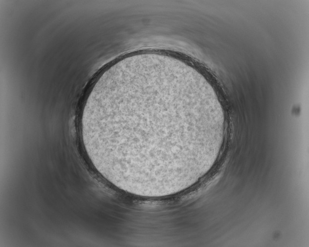 X0000116641497201001111157