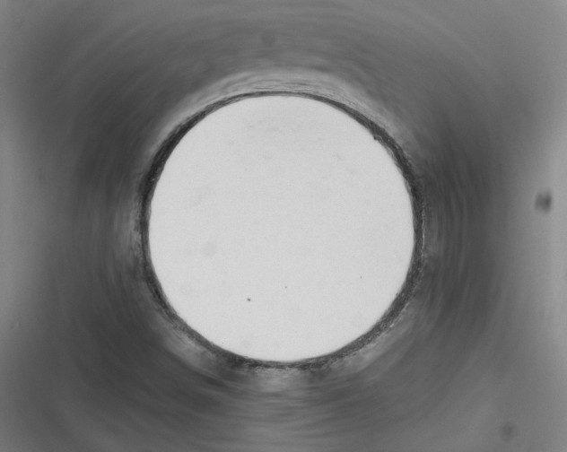 X0000116641498201001111157