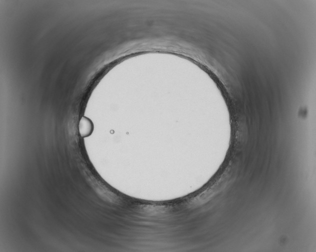 X0000116641499201001111157