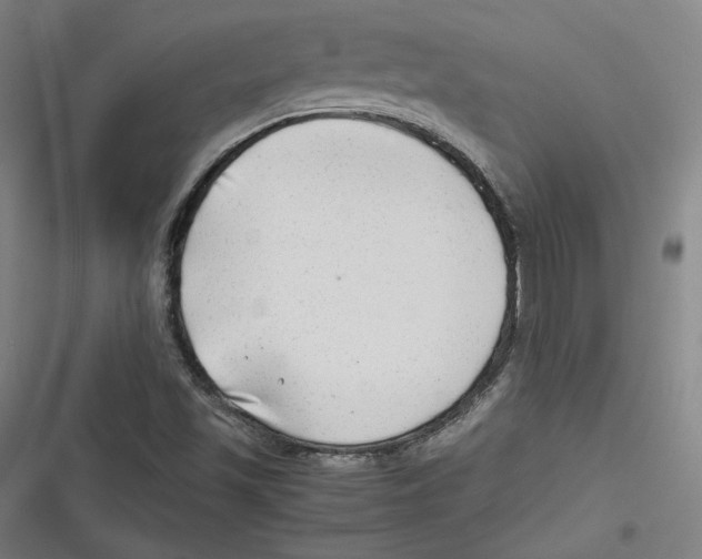 X0000116641501201001111157