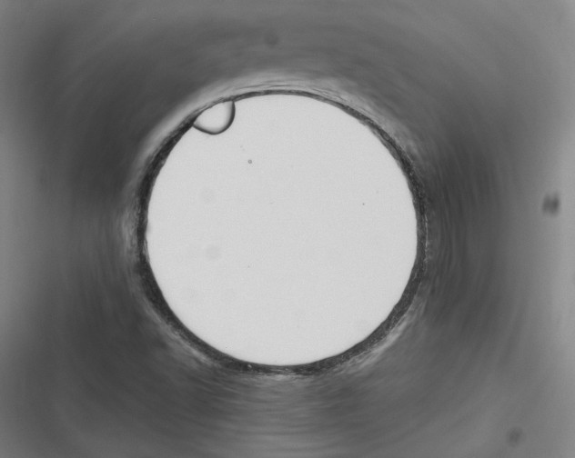 X0000116641502201001111157