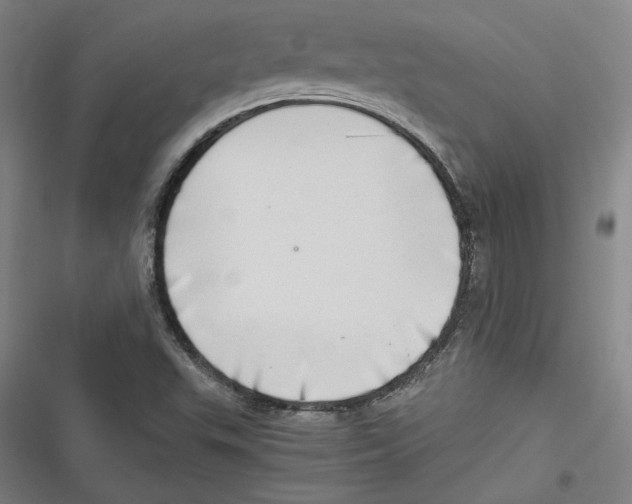 X0000116641503201001111157