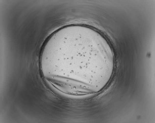 X0000116641505201001111157