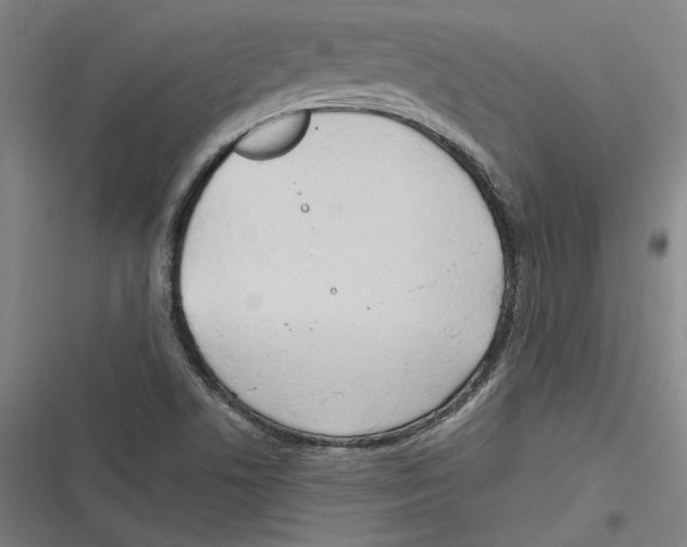 X0000116641506201001111157