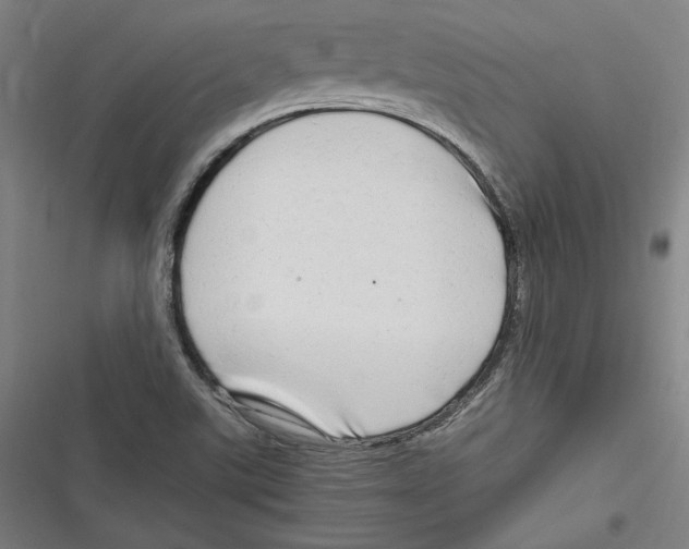 X0000116641507201001111157