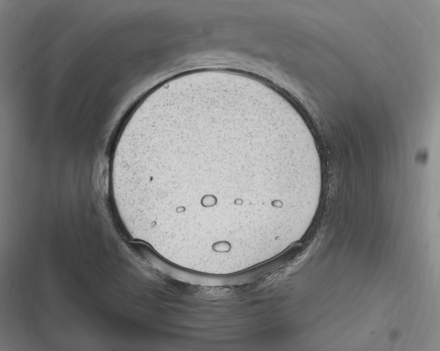 X0000116641509201001111157