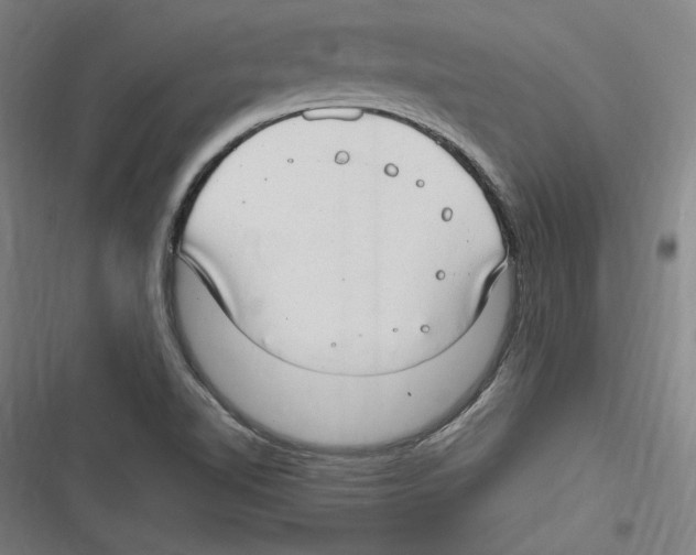 X0000116641510201001111157