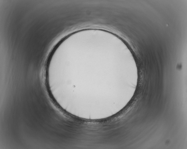 X0000116641511201001111157