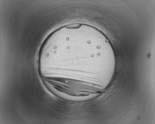 X0000116641519201001111157