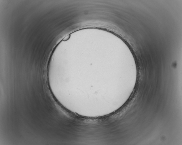 X0000116641521201001111157