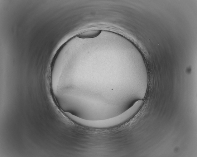 X0000116641522201001111157