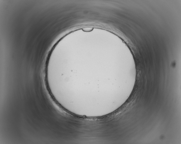 X0000116641523201001111157