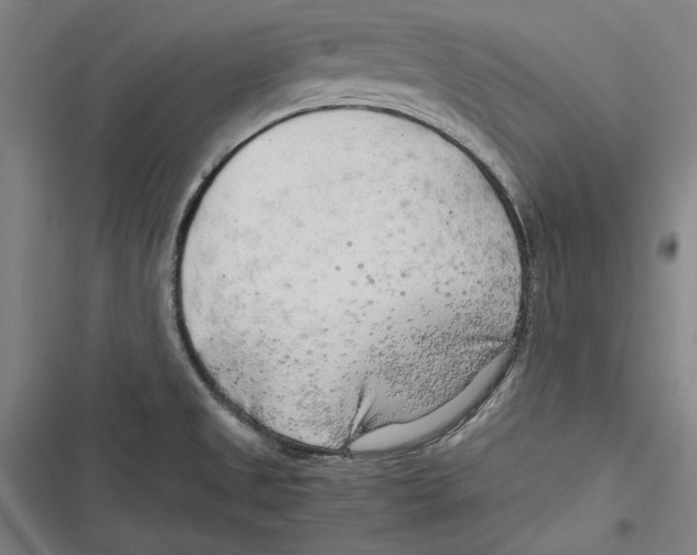 X0000116641525201001111157