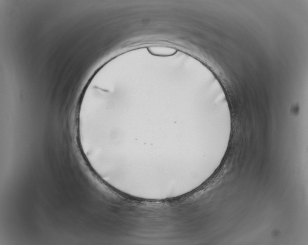 X0000116641526201001111157