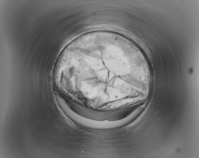 X0000116641529201001111157