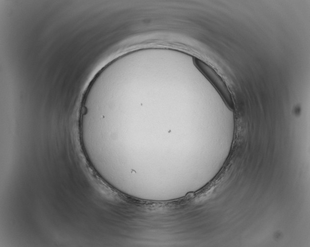 X0000116641530201001111157