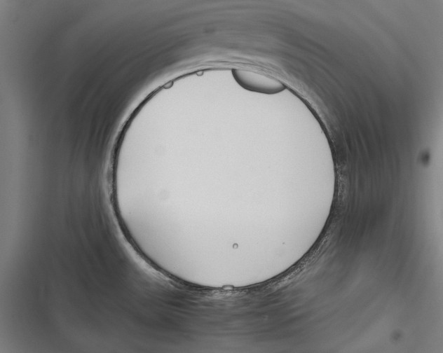 X0000116641531201001111157