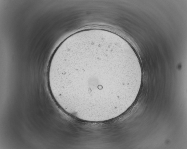 X0000116641533201001111157