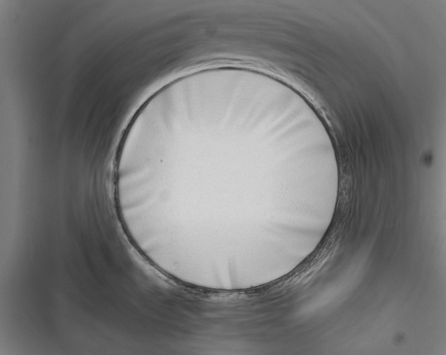 X0000116641535201001111157