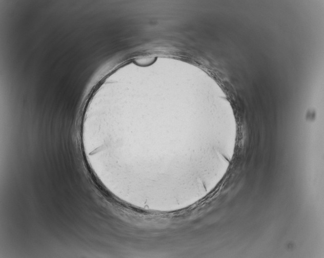 X0000116640004201001251145