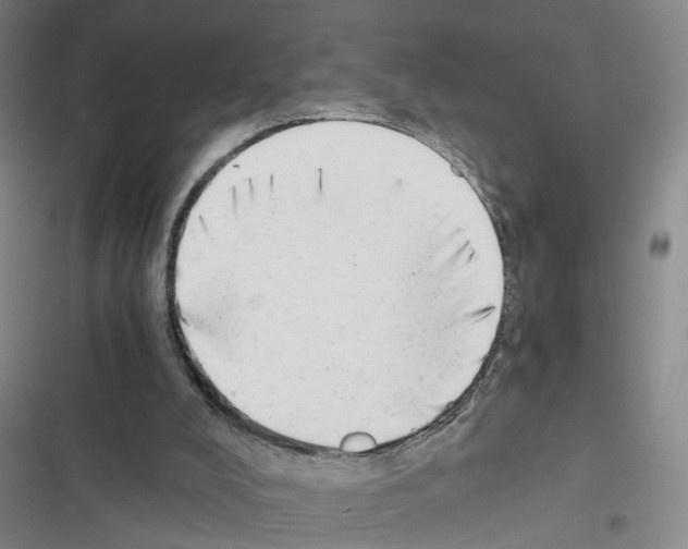 X0000116640008201001251145